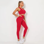 Load image into Gallery viewer, Seamless Contour Two Piece Yoga Set Performance Wear