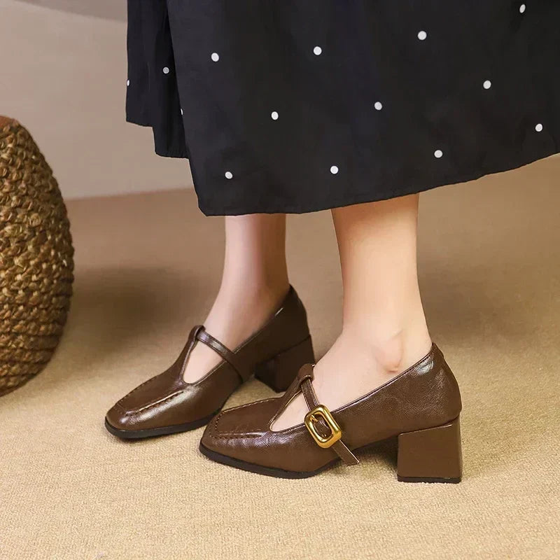 layout