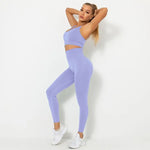 Load image into Gallery viewer, Seamless Contour Two Piece Yoga Set Performance Wear