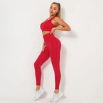 Load image into Gallery viewer, Seamless Contour Two Piece Yoga Set Performance Wear