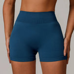 Load image into Gallery viewer, Elevated Contour Seamless Premium Yoga Shorts Nylon