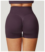 Load image into Gallery viewer, Seamless High Waist Studio Shorts Performance Luxe Elite