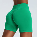 Load image into Gallery viewer, Luxuriant Seamless High Waist Sculpted Yoga Shorts