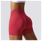 Load image into Gallery viewer, Seamless High Waist Studio Shorts Performance Luxe Elite