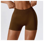 Load image into Gallery viewer, Elevated Contour Seamless Premium Yoga Shorts Nylon