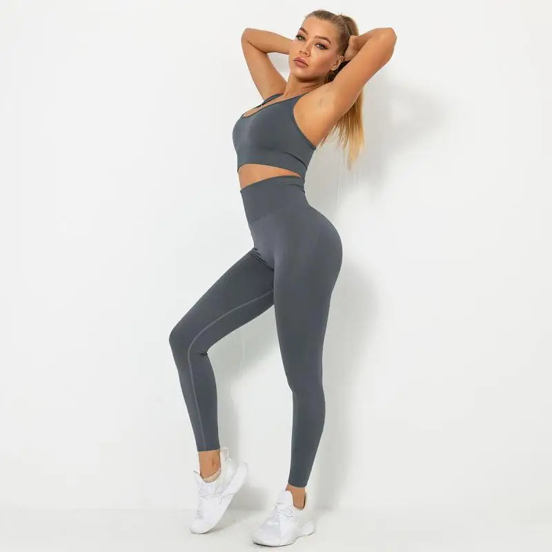 Seamless Contour Two Piece Yoga Set Performance Wear