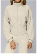 Load image into Gallery viewer, Wind Proof Zip Front Standing Collar Sweat Shirt Regular Fit
