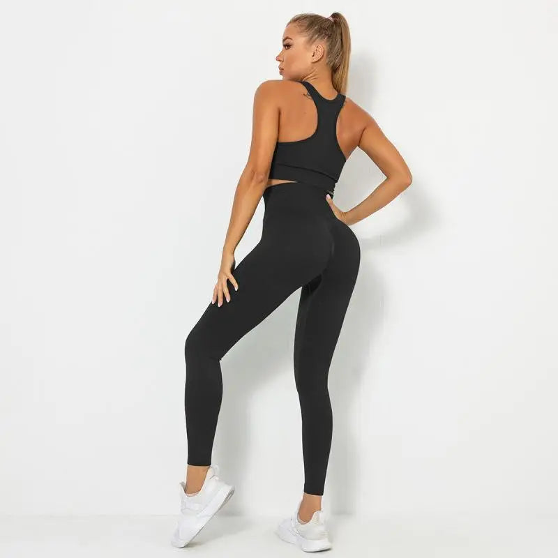 Seamless Contour Two Piece Yoga Set Performance Wear