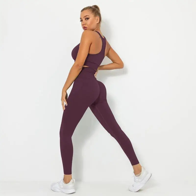Seamless Contour Two Piece Yoga Set Performance Wear