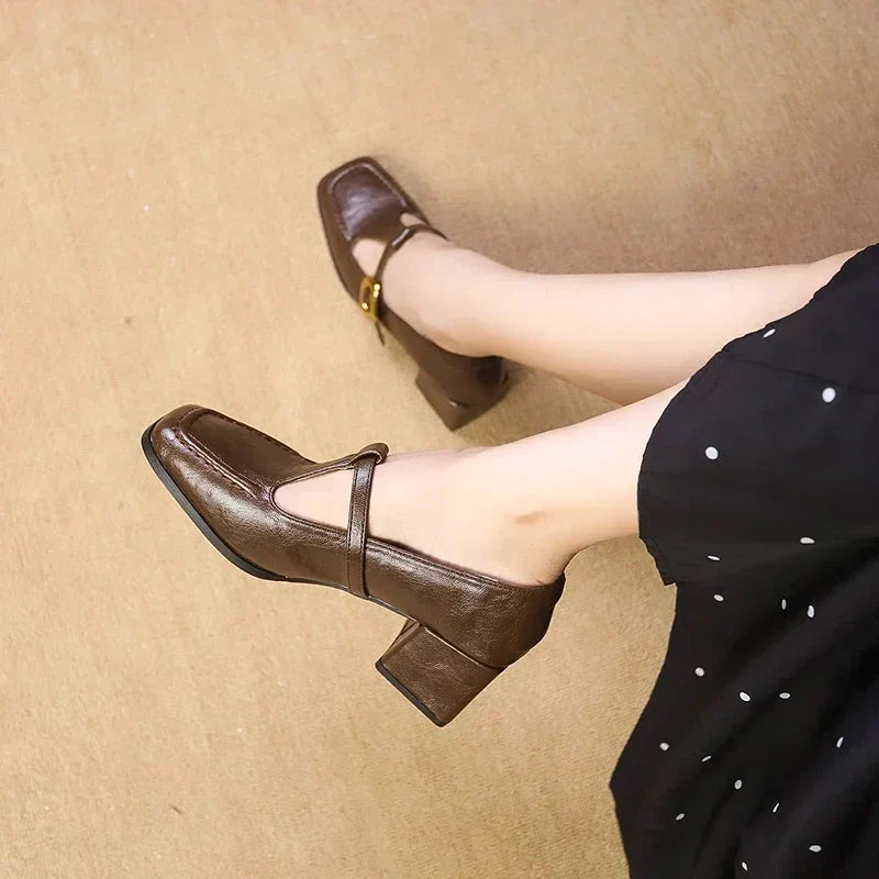 Women's Mary Jane Shoes Buckle Strap Block Heel Square Toe Style