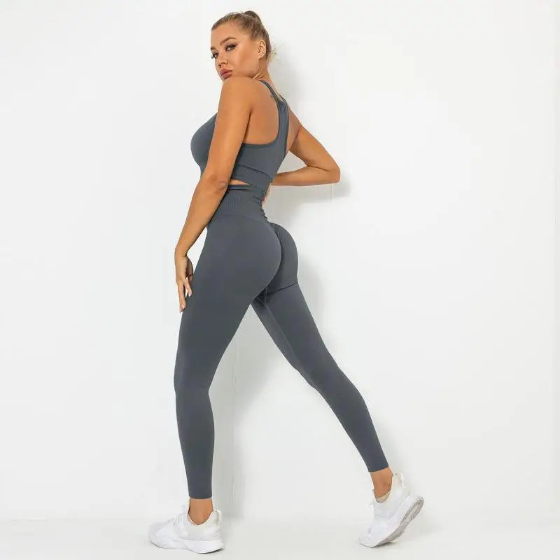 Seamless Contour Two Piece Yoga Set Performance Wear