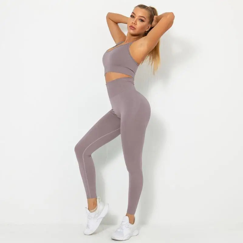 Seamless Contour Two Piece Yoga Set Performance Wear