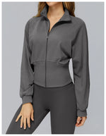Load image into Gallery viewer, Wind Proof Zip Front Standing Collar Sweat Shirt Regular Fit
