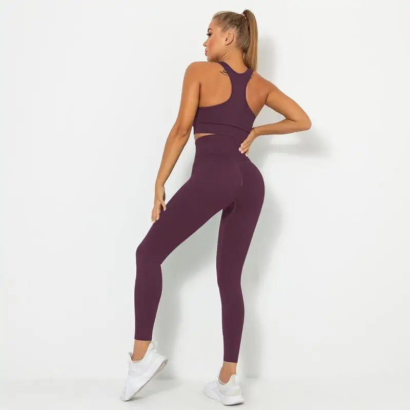 Seamless Contour Two Piece Yoga Set Performance Wear