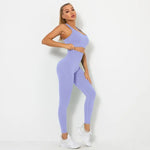 Load image into Gallery viewer, Seamless Contour Two Piece Yoga Set Performance Wear
