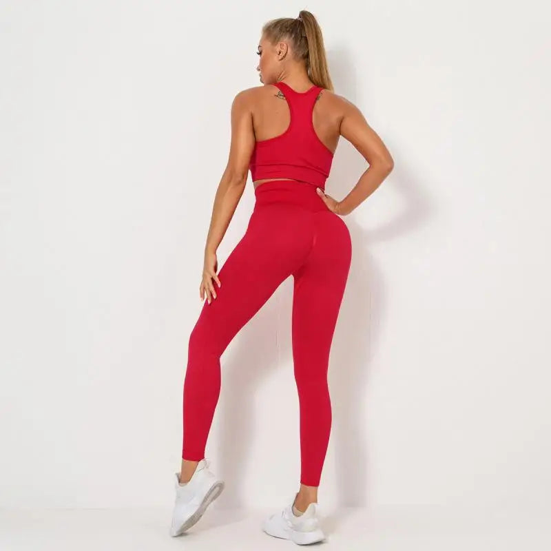 Seamless Contour Two Piece Yoga Set Performance Wear