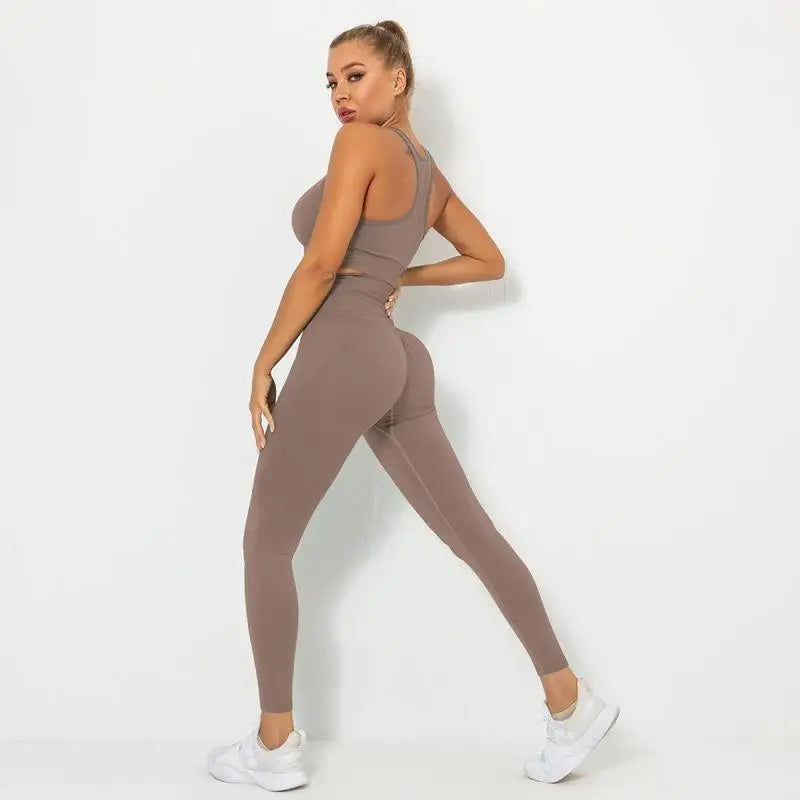 Seamless Contour Two Piece Yoga Set Performance Wear