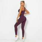 Load image into Gallery viewer, Seamless Contour Two Piece Yoga Set Performance Wear
