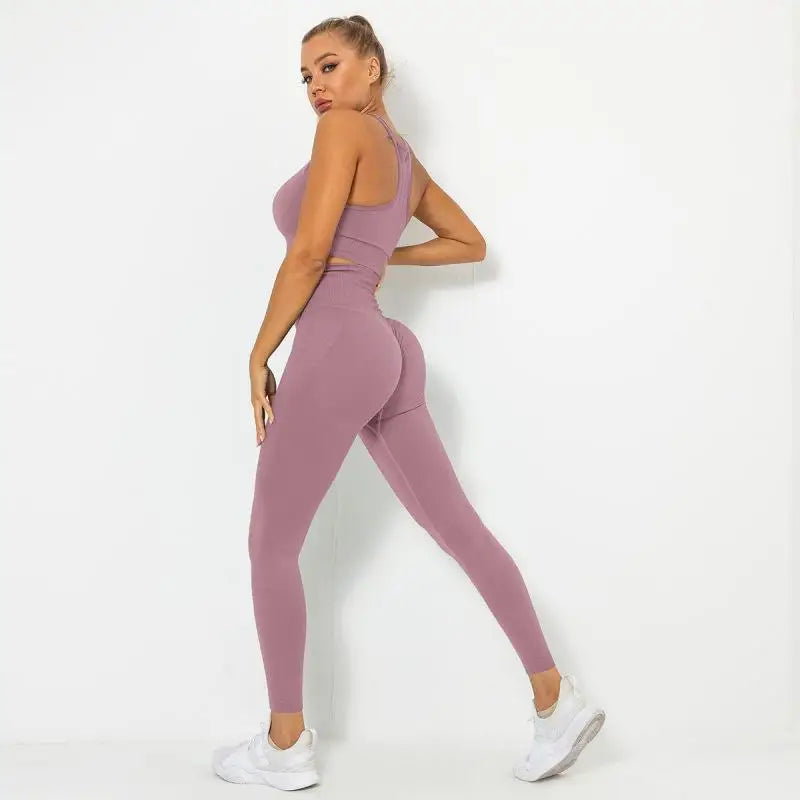 Seamless Contour Two Piece Yoga Set Performance Wear