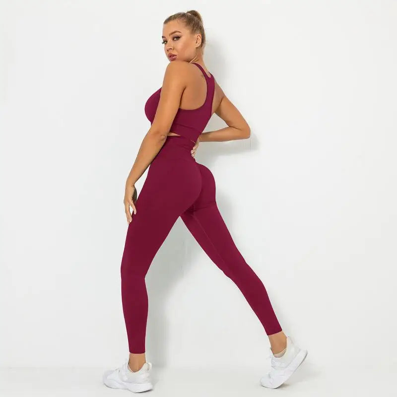Seamless Contour Two Piece Yoga Set Performance Wear