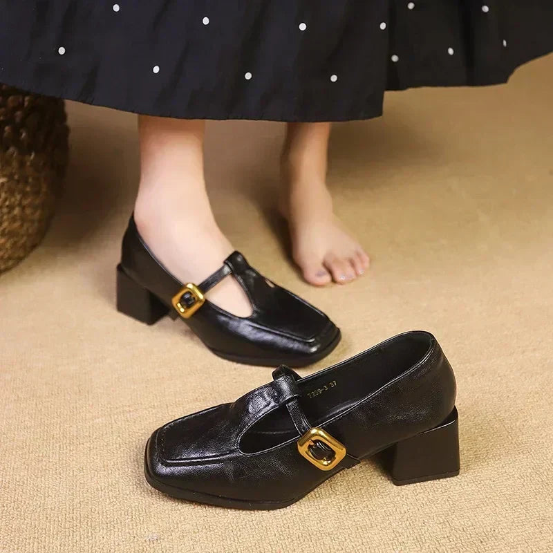 Women's Mary Jane Shoes Buckle Strap Block Heel Square Toe Style
