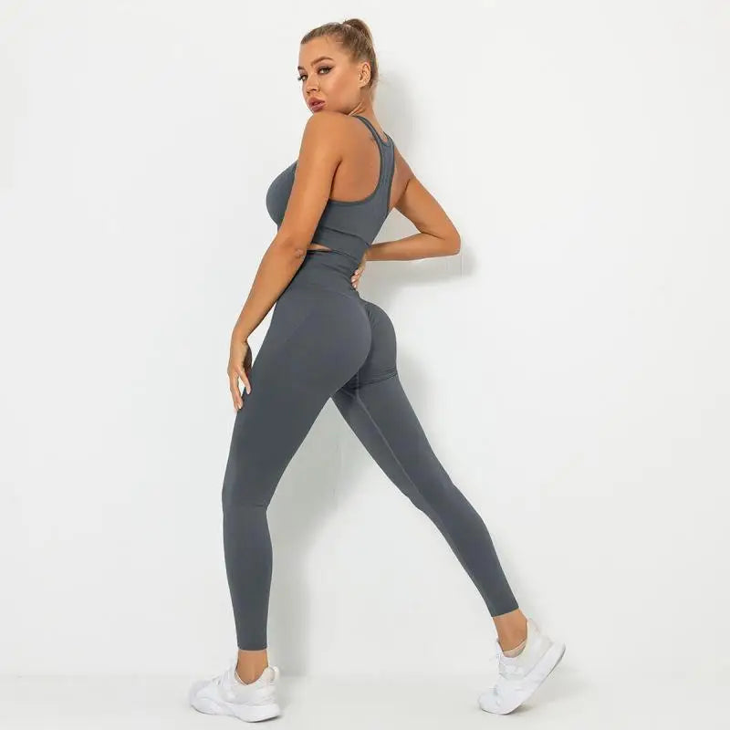 Seamless Contour Two Piece Yoga Set Performance Wear