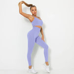 Load image into Gallery viewer, Seamless Contour Two Piece Yoga Set Performance Wear
