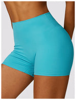 Load image into Gallery viewer, Luxurious Breathable High Waist Contour Yoga Shorts Nylon
