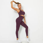 Load image into Gallery viewer, Seamless Contour Two Piece Yoga Set Performance Wear
