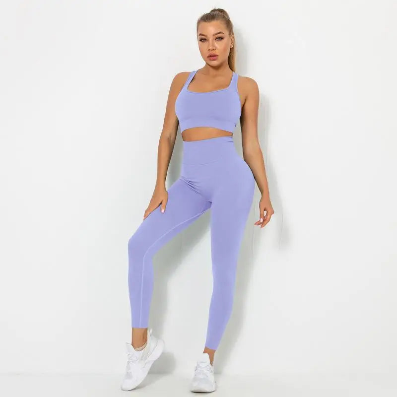 Seamless Contour Two Piece Yoga Set Performance Wear