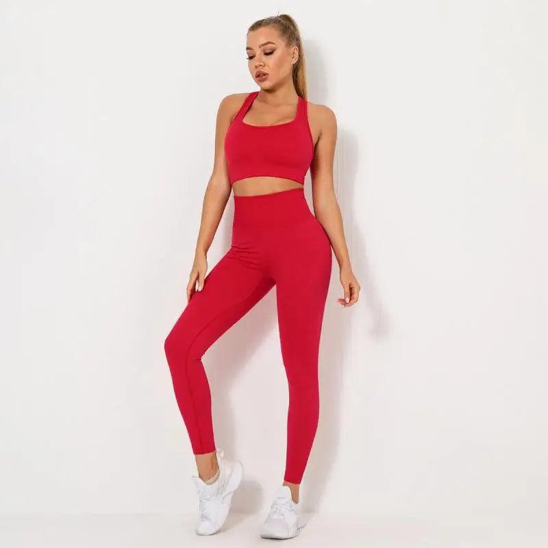 Seamless Contour Two Piece Yoga Set Performance Wear