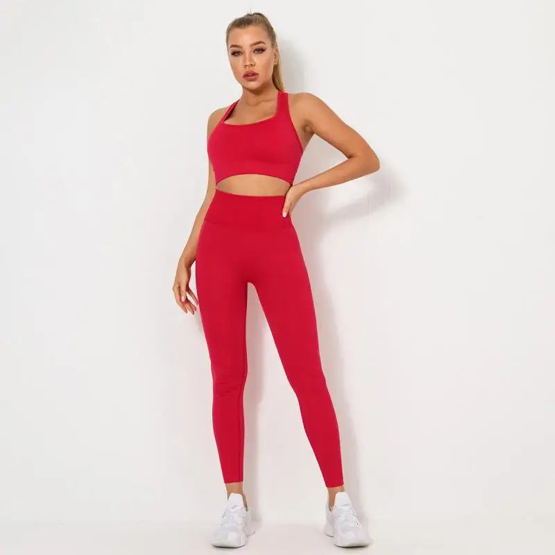 Seamless Contour Two Piece Yoga Set Performance Wear