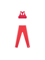 Load image into Gallery viewer, Gaia + Laura Halter Yoga Bra &amp; Pants Matching Set
