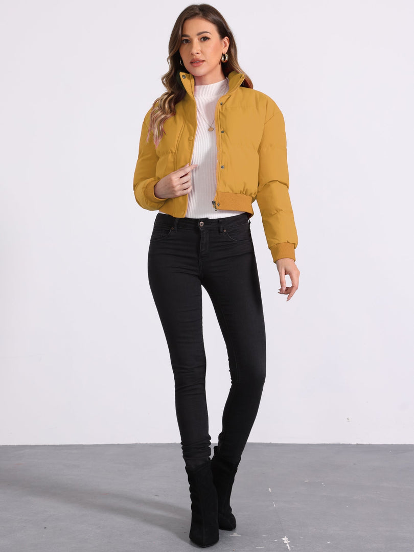 Women's Bomber Jacket Zip Front Stand Collar Padded Cropped Style