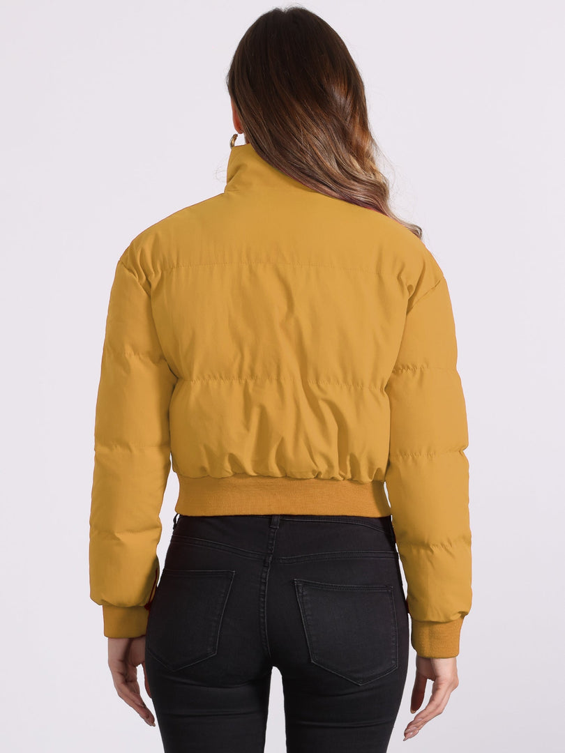 Women's Bomber Jacket Zip Front Stand Collar Padded Cropped Style