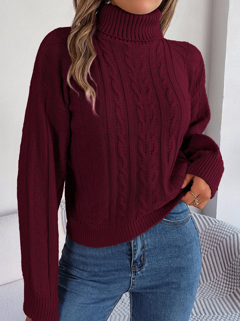 Women's Sweatshirt Turtleneck Cable Knit Long Sleeve Style