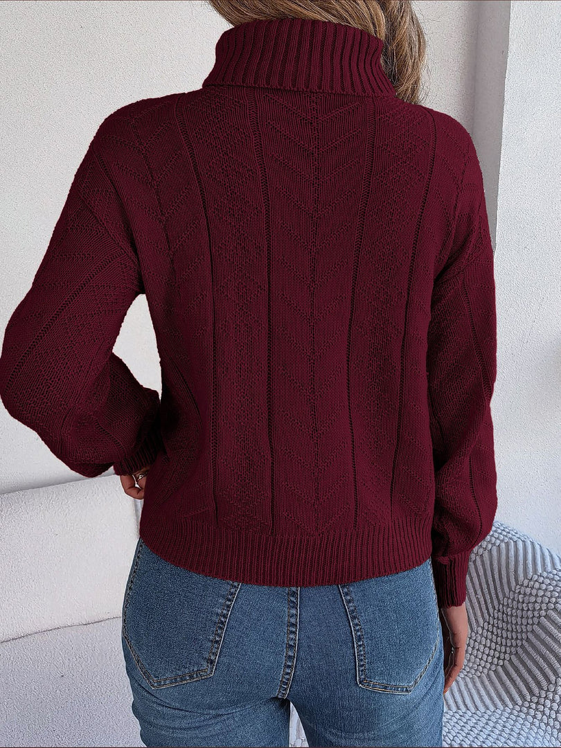 Women's Sweatshirt Turtleneck Cable Knit Long Sleeve Style