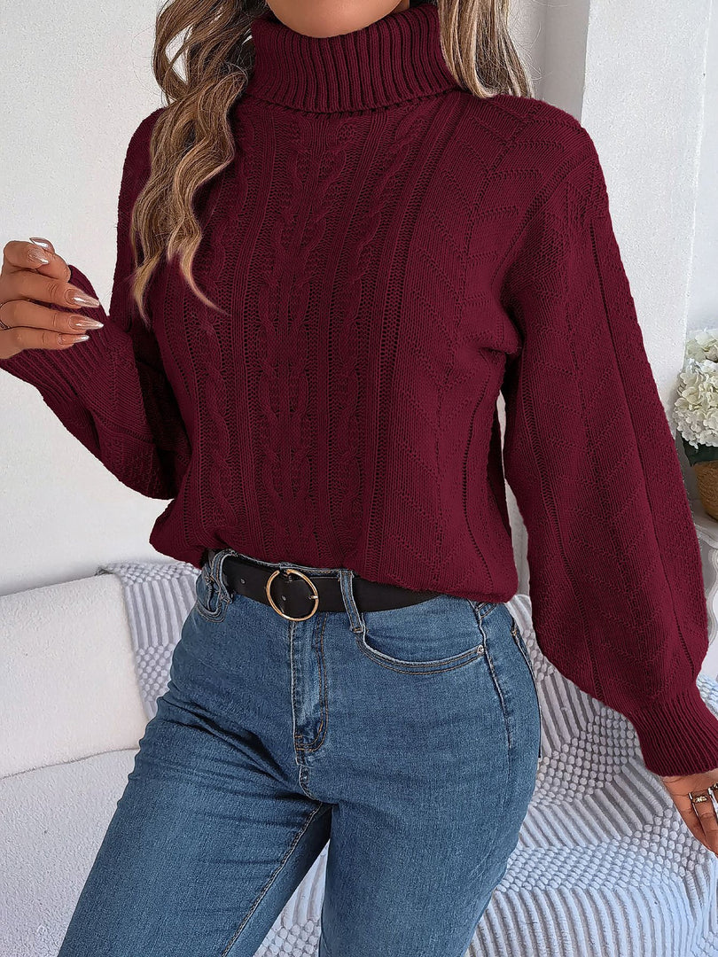 Women's Sweatshirt Turtleneck Cable Knit Long Sleeve Style