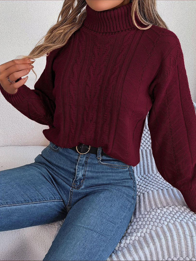 Women's Sweatshirt Turtleneck Cable Knit Long Sleeve Style