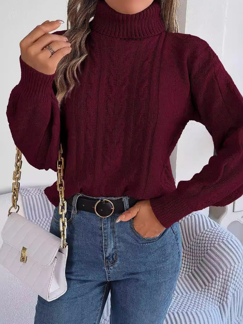 Women's Sweatshirt Turtleneck Cable Knit Long Sleeve Style