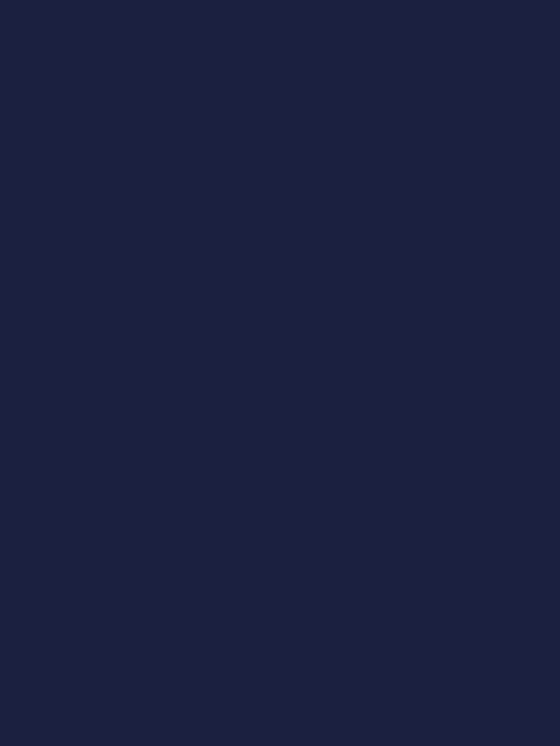 Women's Navy a Line Wedding Dress Embroidered V Neck Long Sleeve