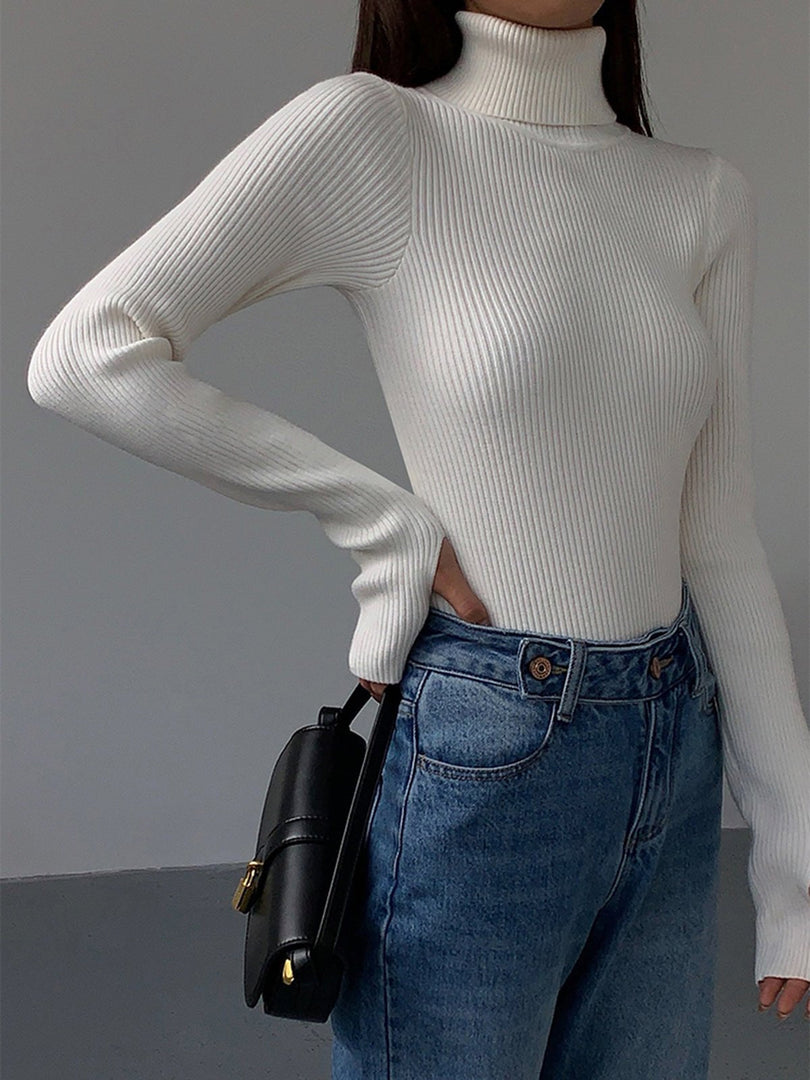 Women's Sweaters Ribbed Turtleneck Lightweight Knit